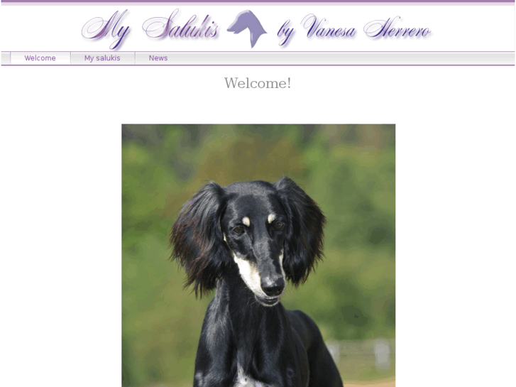 www.saluki.es