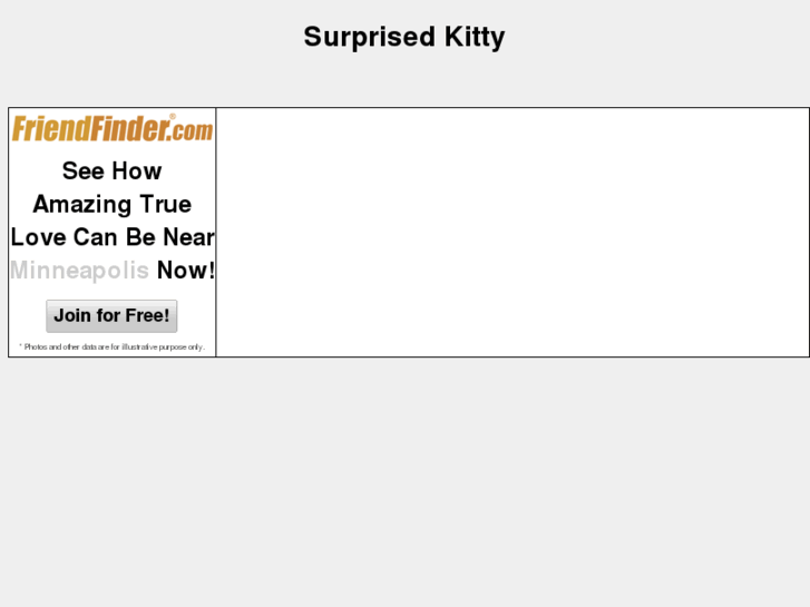 www.surprisedkitty.com