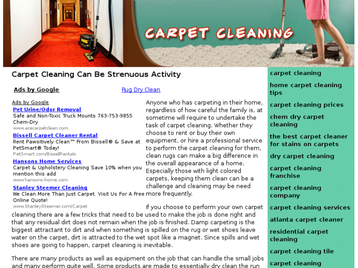 www.thecarpet-cleaning.com