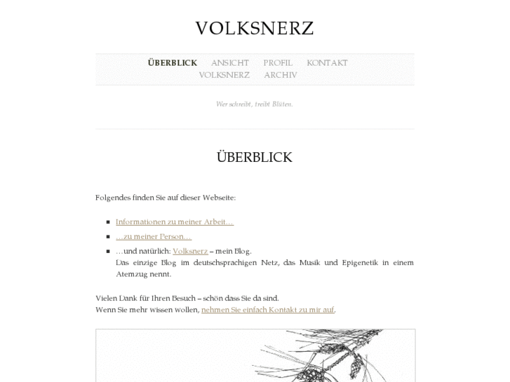 www.volksnerz.de