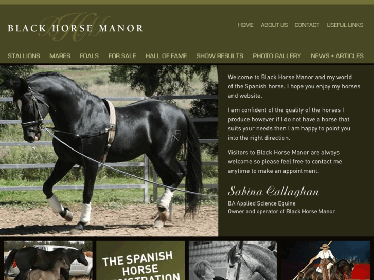 www.blackhorsemanor.com.au