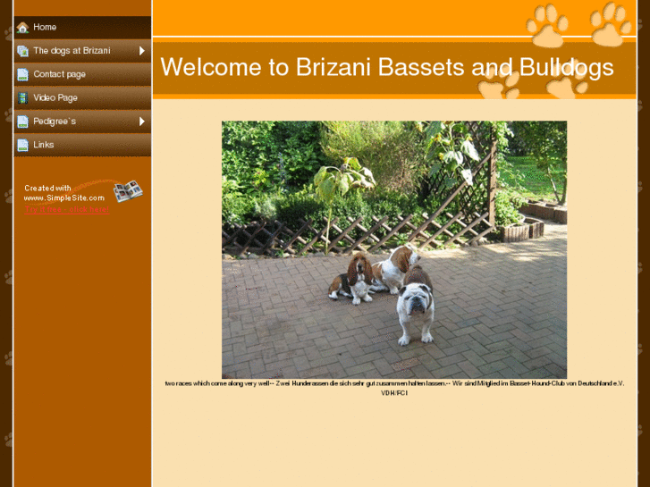 www.brizanibassetsbulldogs.com