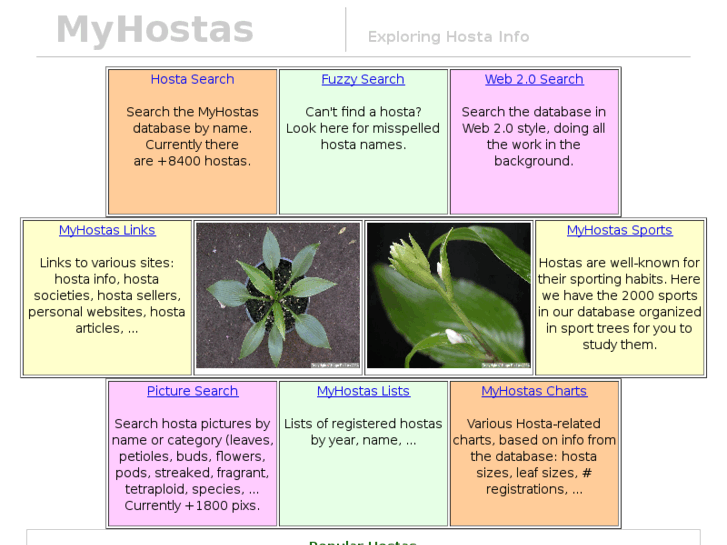 www.myhostas.be