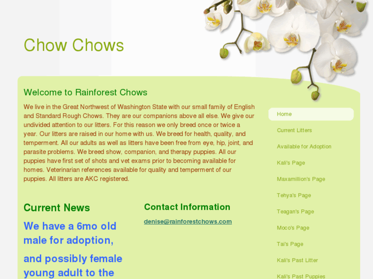 www.rainforestchows.com