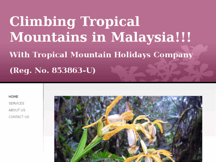 www.tropicalmountainholidaysmalaysia.com