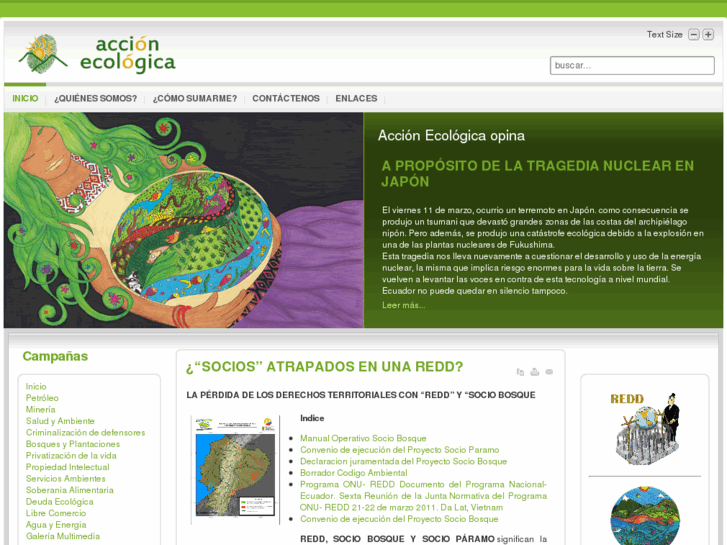 www.accionecologica.org