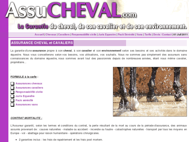 www.assucheval.com