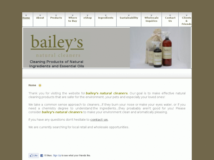 www.baileysnaturalcleaners.com