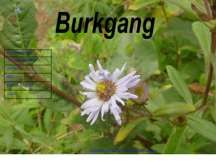 www.burkgang.com