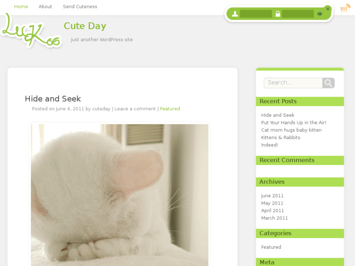 www.cuteday.com