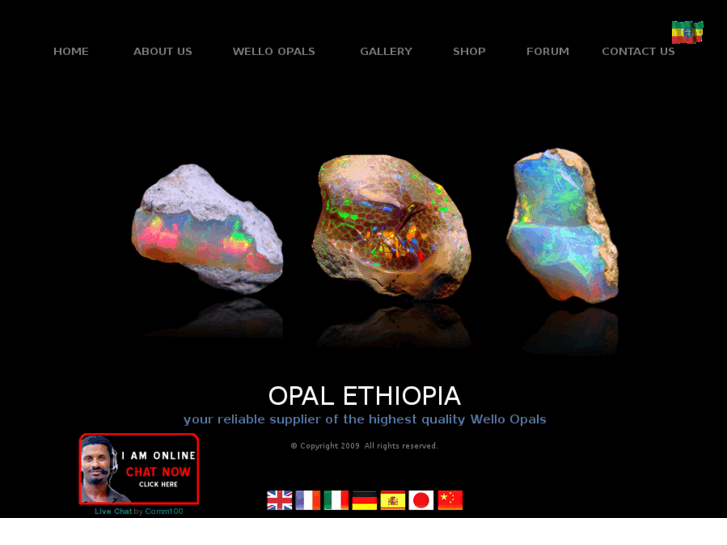 www.delantaopalethiopia.com