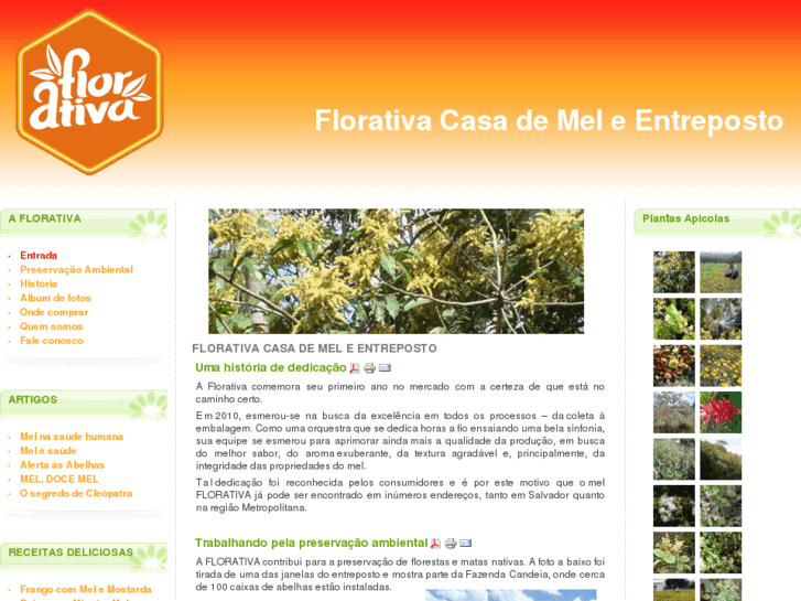 www.florativa.com