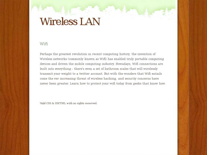 www.wirelesslan.com