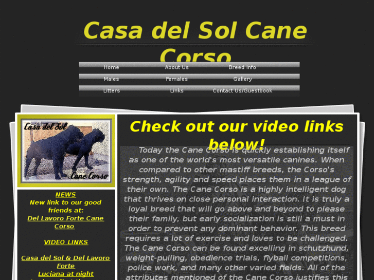 www.casadelsolcanecorso.com