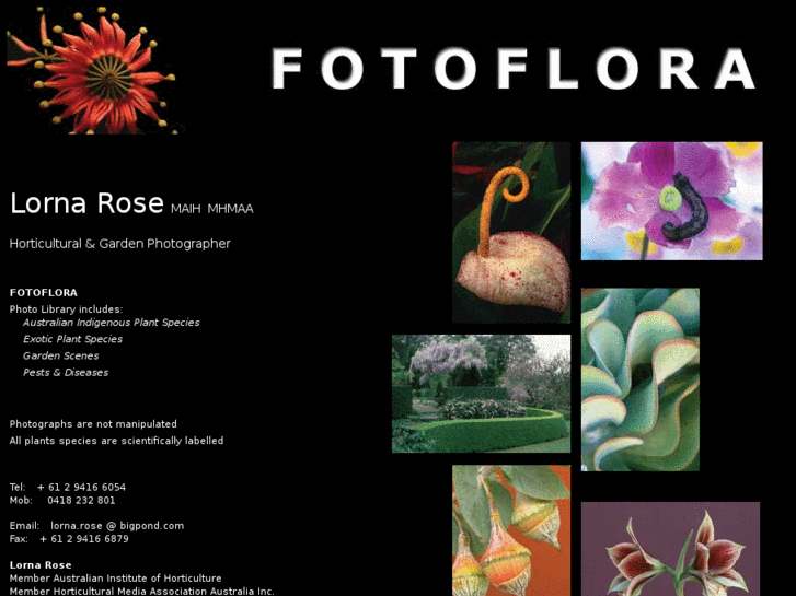 www.fotoflora.com.au