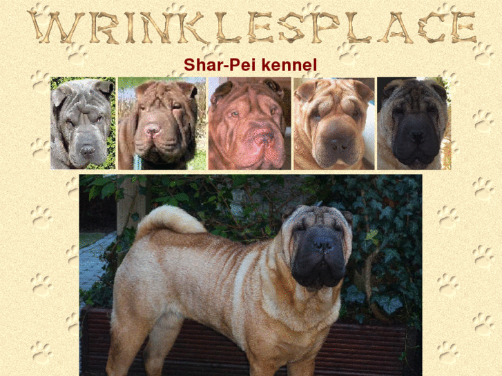 www.wrinklesplace.nl