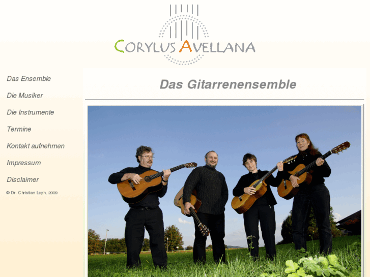 www.avellana-guitar.com