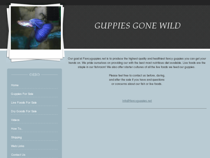 www.fancyguppies.net