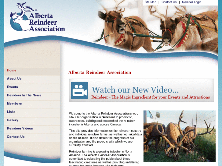 www.albertareindeer.com