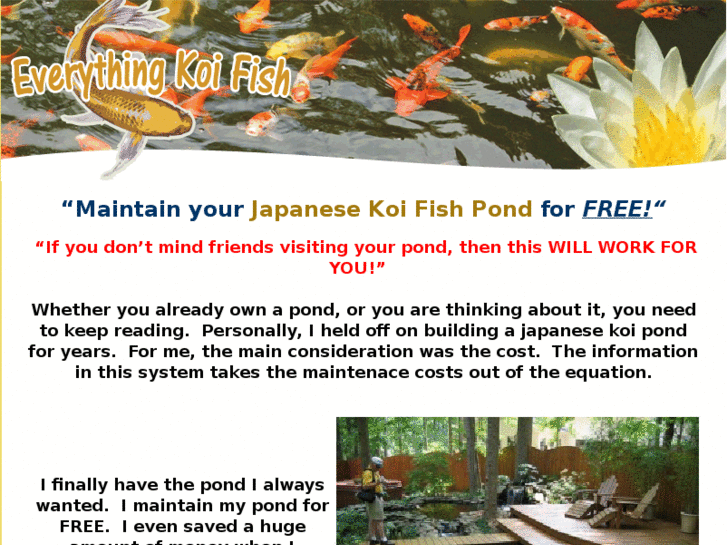 www.everythingkoifish.com