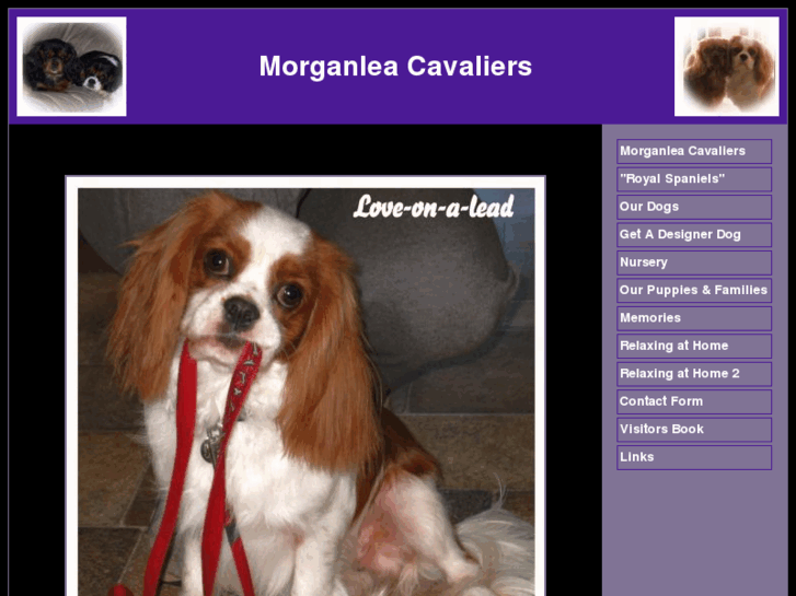 www.morganleacavaliers.com