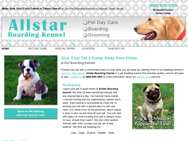 www.allstarboardingkennel.com