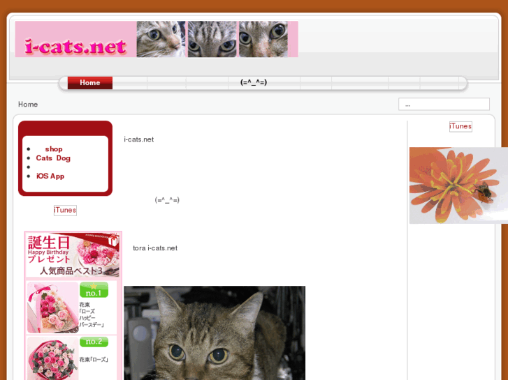 www.i-cats.net