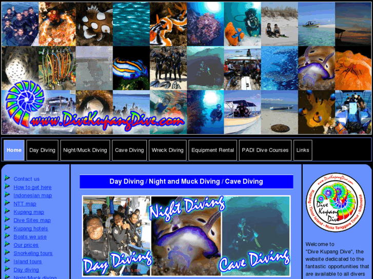 www.divekupangdive.com