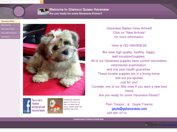 www.gqhavanese.com