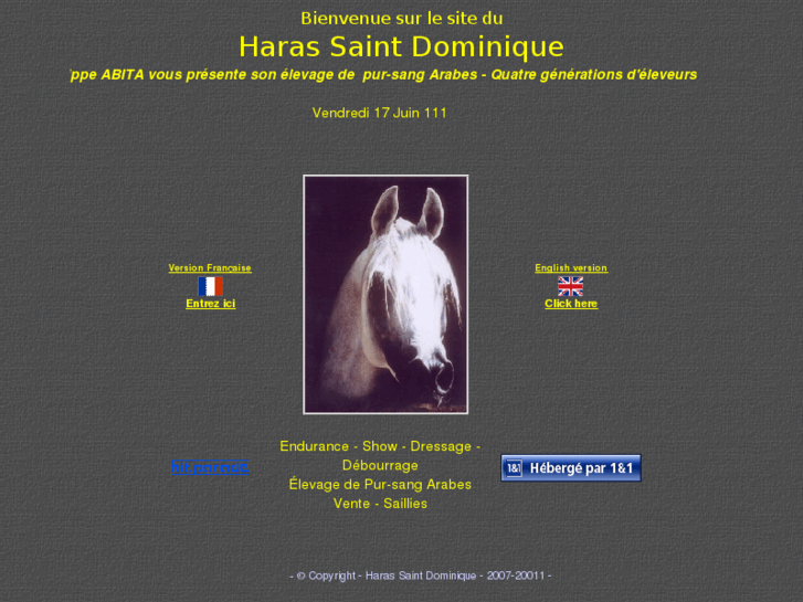 www.haras-st-dominique.com