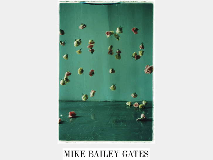 www.mikebaileygates.com