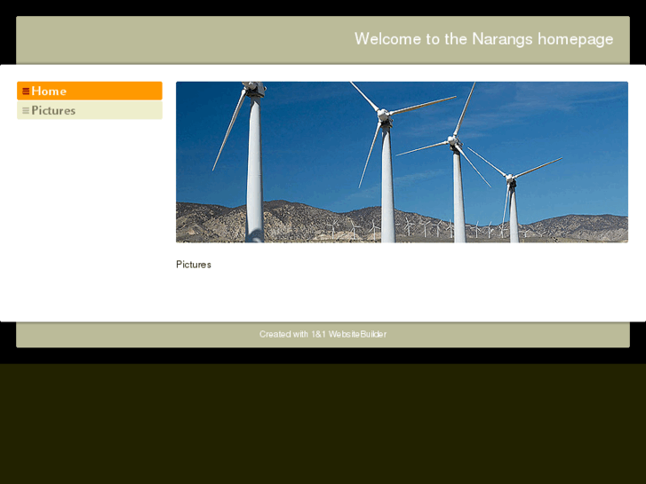 www.narangs.com