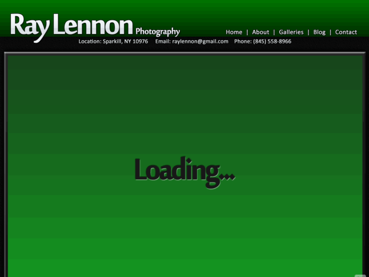 www.raylennon.com