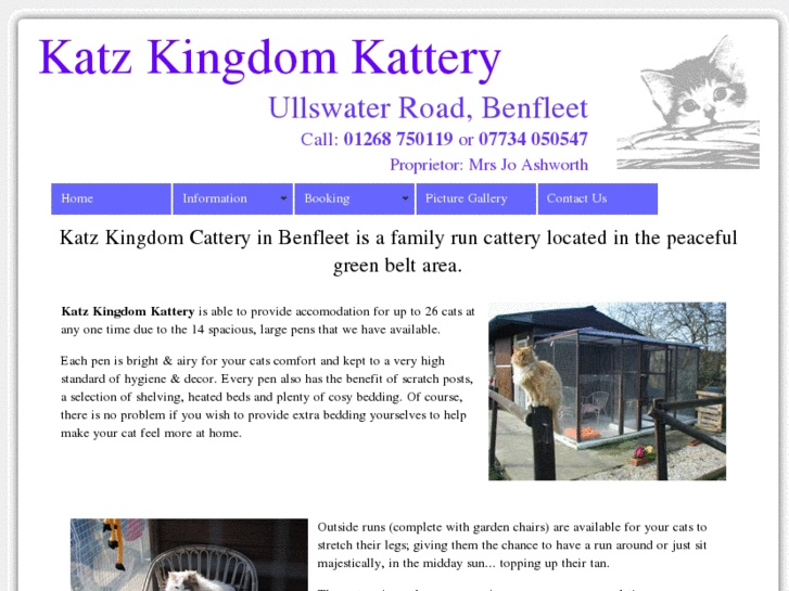 www.katzkingdomkattery.com