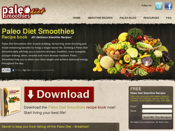 www.paleodietsmoothies.com