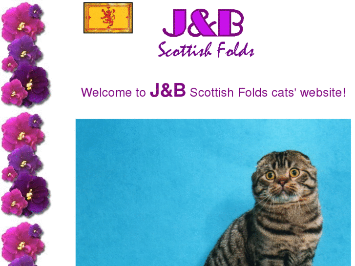 www.scottishfoldcats.com