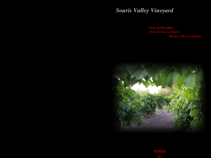 www.sourisvalleyvineyard.com