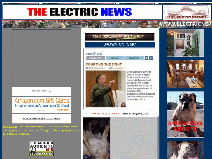 www.electricnews.com