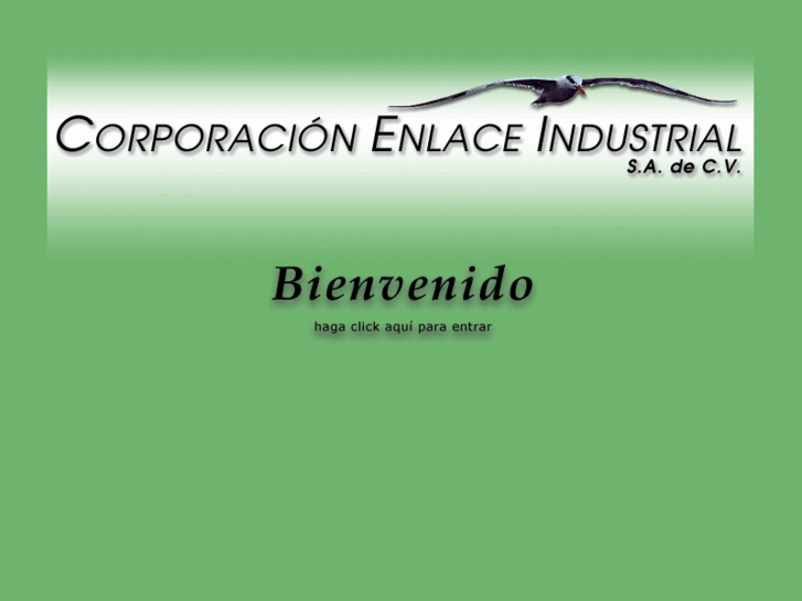 www.enlaceindustrial.com