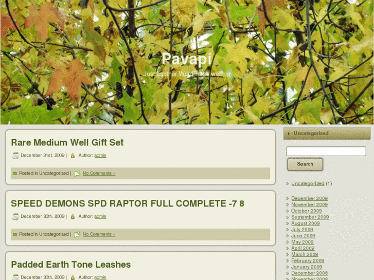 www.pavapi.info