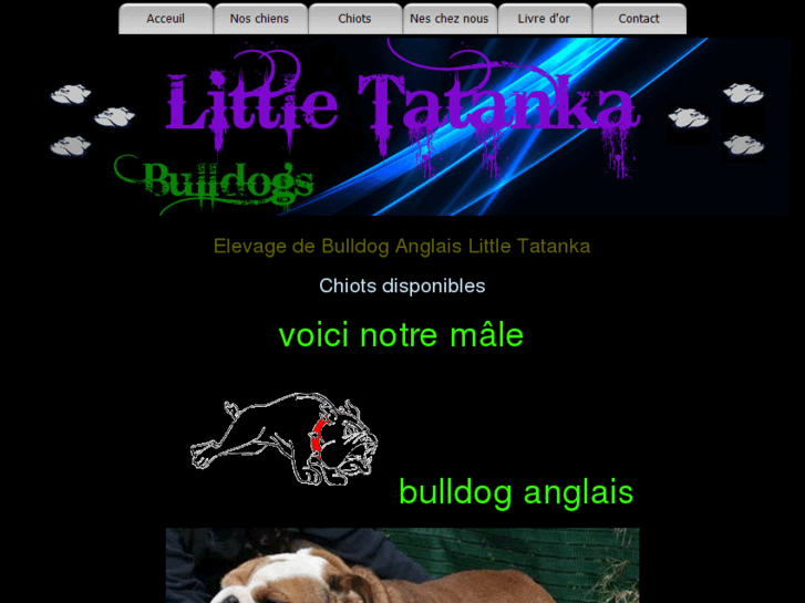 www.bulldog-anglais.net