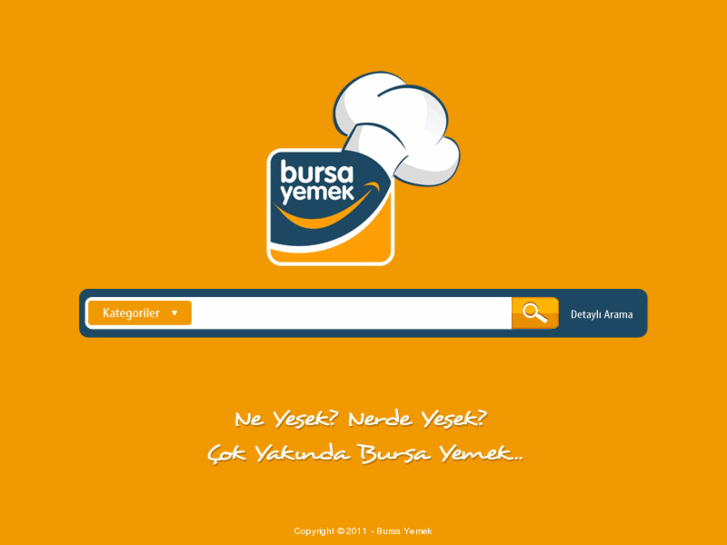 www.bursayemek.com