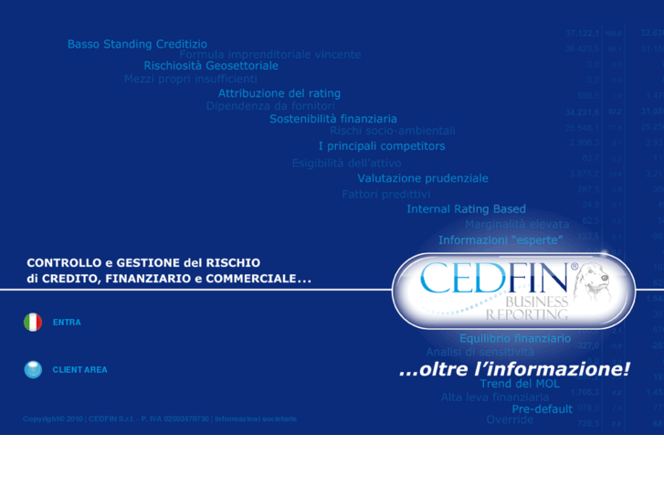 www.cedfin.biz