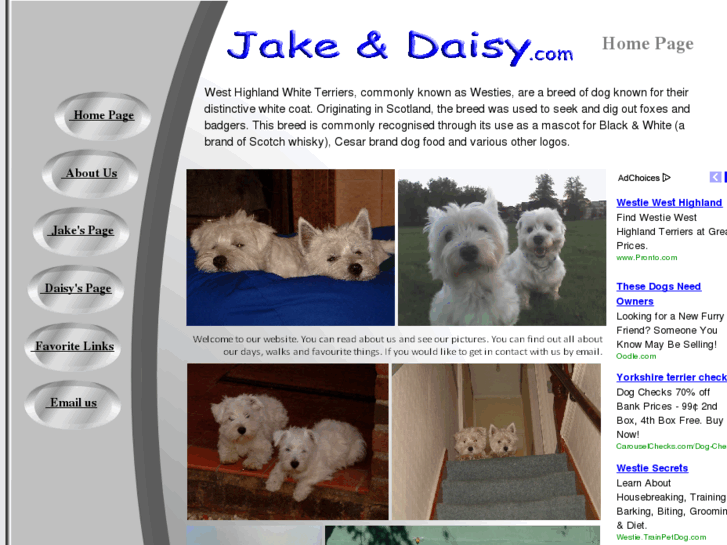 www.jakeanddaisy.com