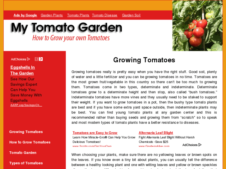 www.mytomatogarden.com