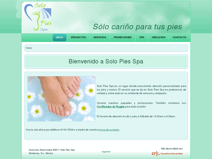 www.solopiesspa.com