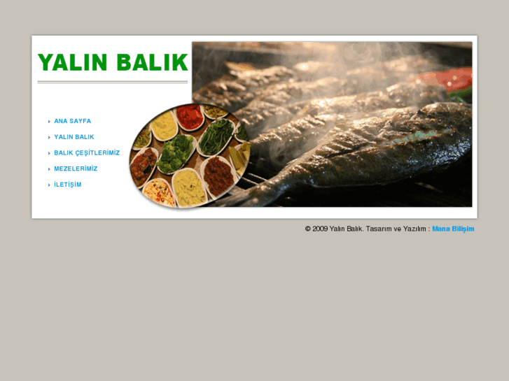 www.yalinbalik.com
