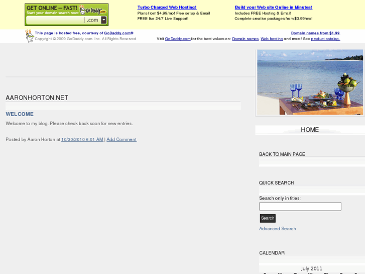 www.aaronhorton.net
