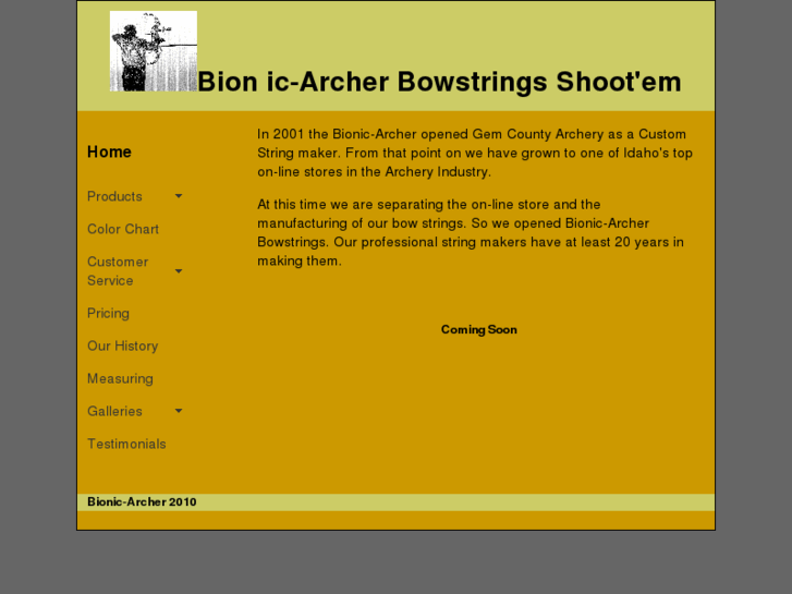 www.bionic-archer.com