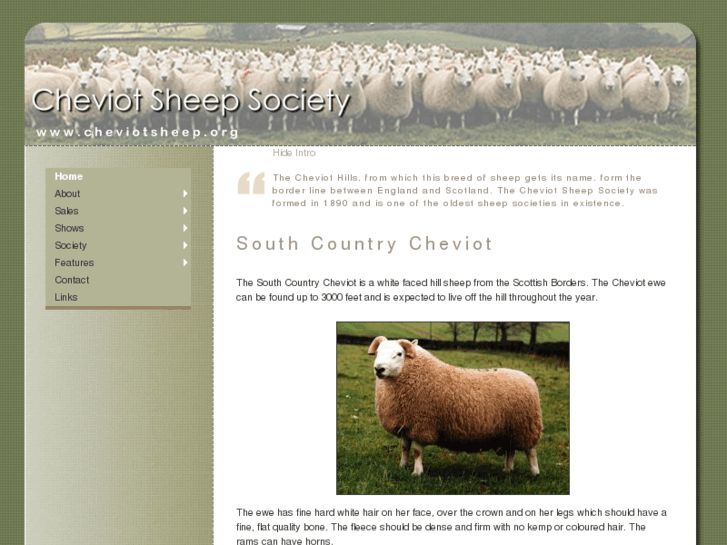 www.cheviotsheep.org